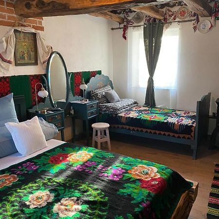 Casa Cezara Διαμέρισμα Silvasu de Jos Εξωτερικό φωτογραφία