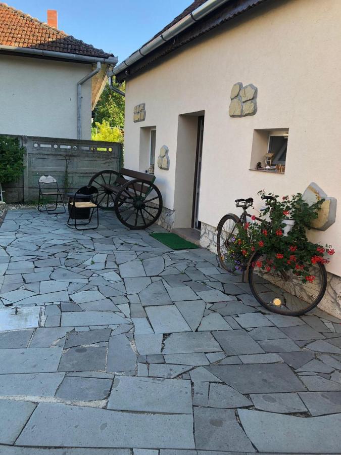 Casa Cezara Διαμέρισμα Silvasu de Jos Εξωτερικό φωτογραφία