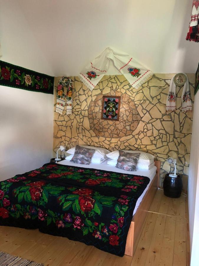 Casa Cezara Διαμέρισμα Silvasu de Jos Εξωτερικό φωτογραφία
