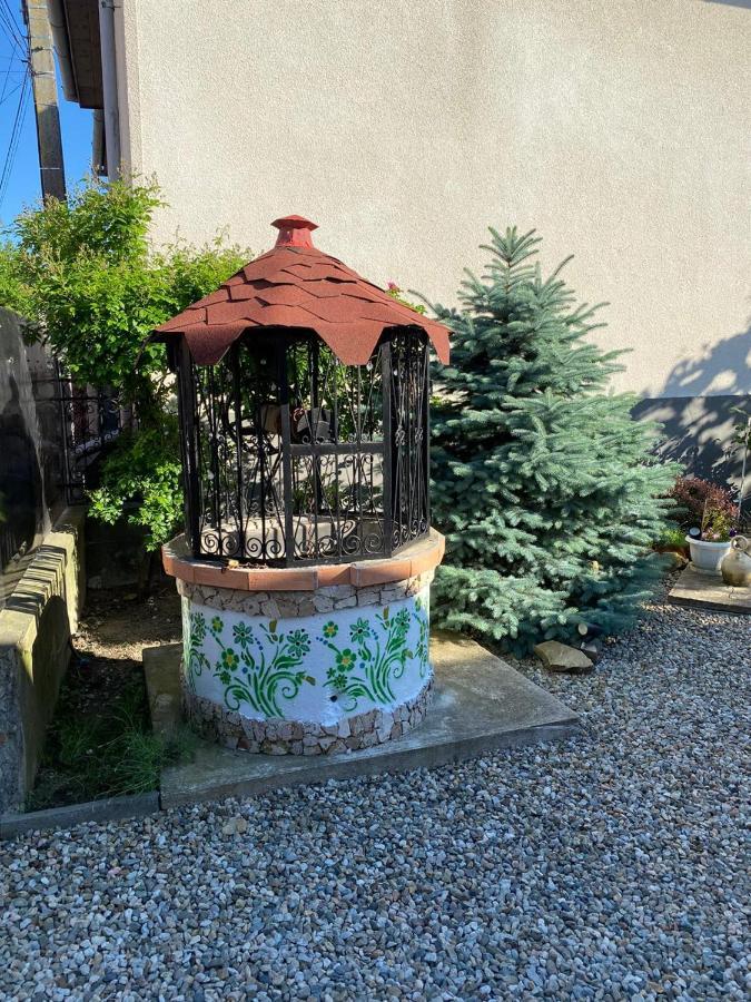 Casa Cezara Διαμέρισμα Silvasu de Jos Εξωτερικό φωτογραφία