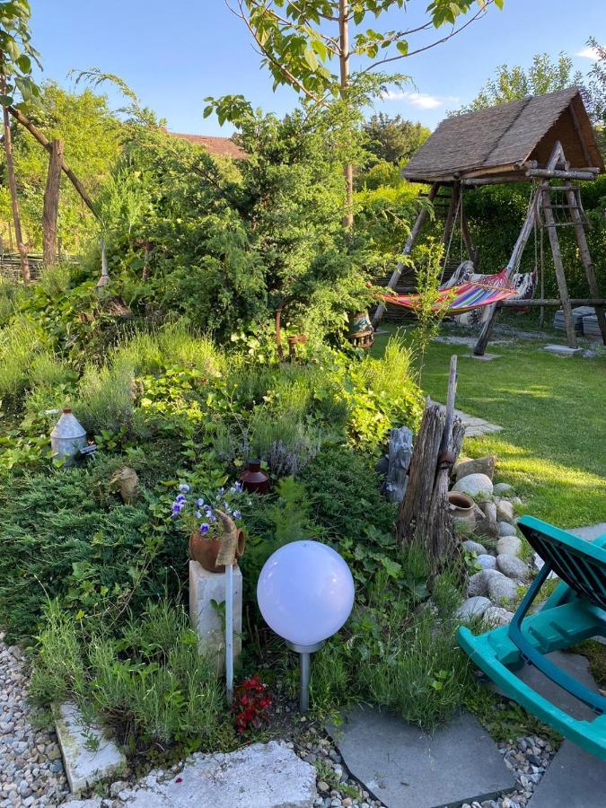 Casa Cezara Διαμέρισμα Silvasu de Jos Εξωτερικό φωτογραφία