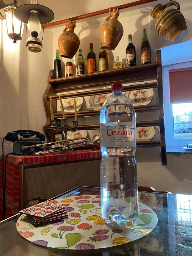Casa Cezara Διαμέρισμα Silvasu de Jos Εξωτερικό φωτογραφία