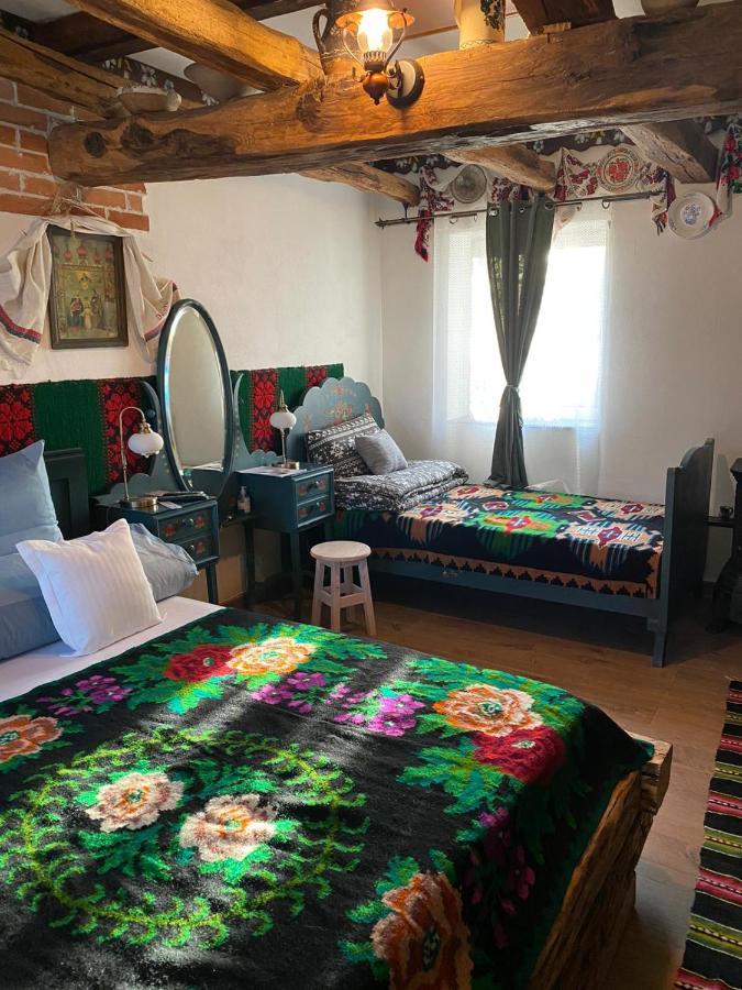 Casa Cezara Διαμέρισμα Silvasu de Jos Εξωτερικό φωτογραφία