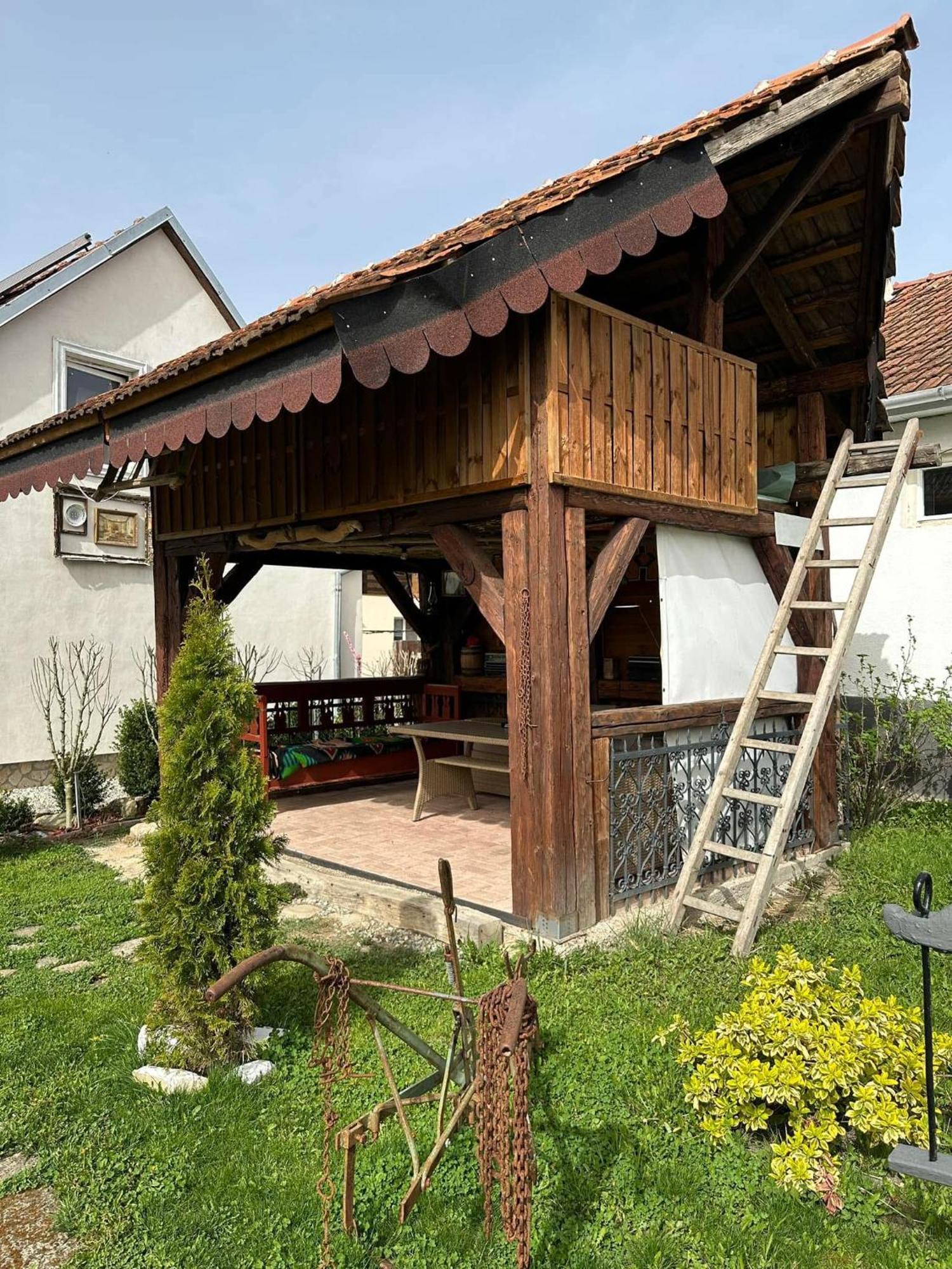 Casa Cezara Διαμέρισμα Silvasu de Jos Εξωτερικό φωτογραφία