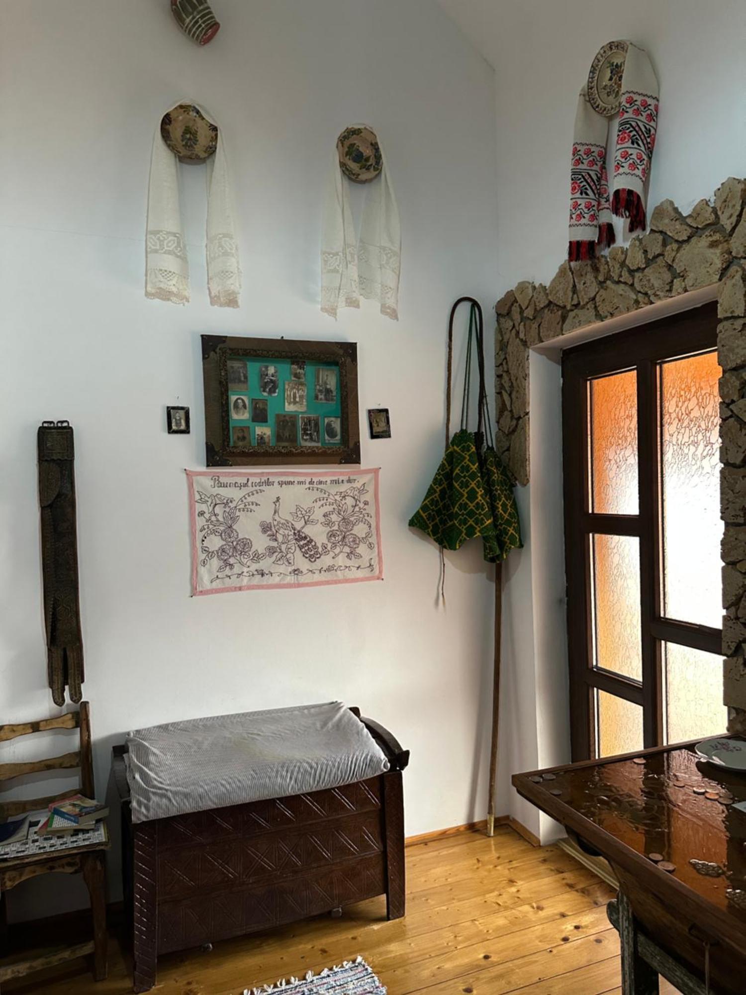 Casa Cezara Διαμέρισμα Silvasu de Jos Εξωτερικό φωτογραφία
