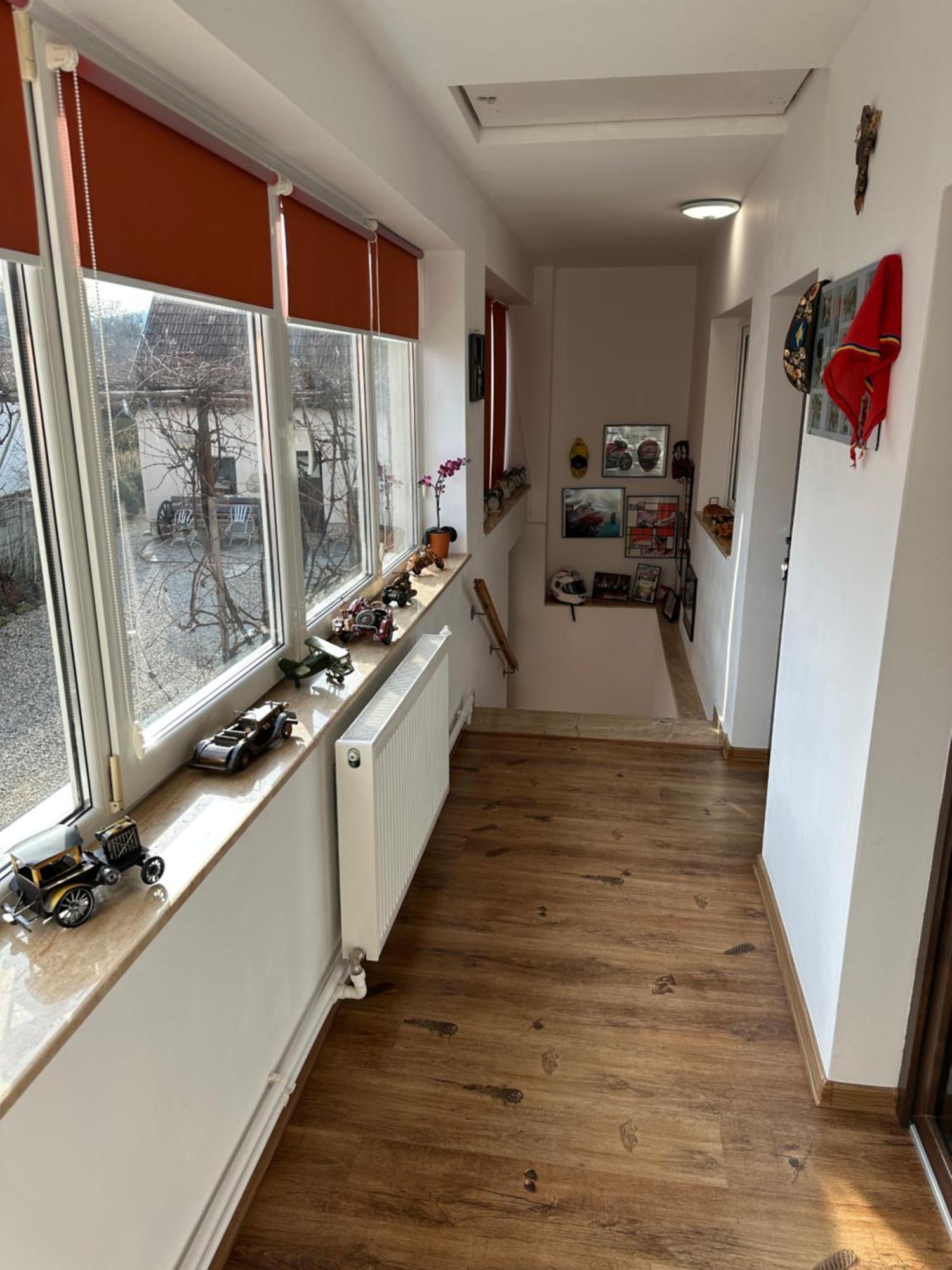 Casa Cezara Διαμέρισμα Silvasu de Jos Εξωτερικό φωτογραφία