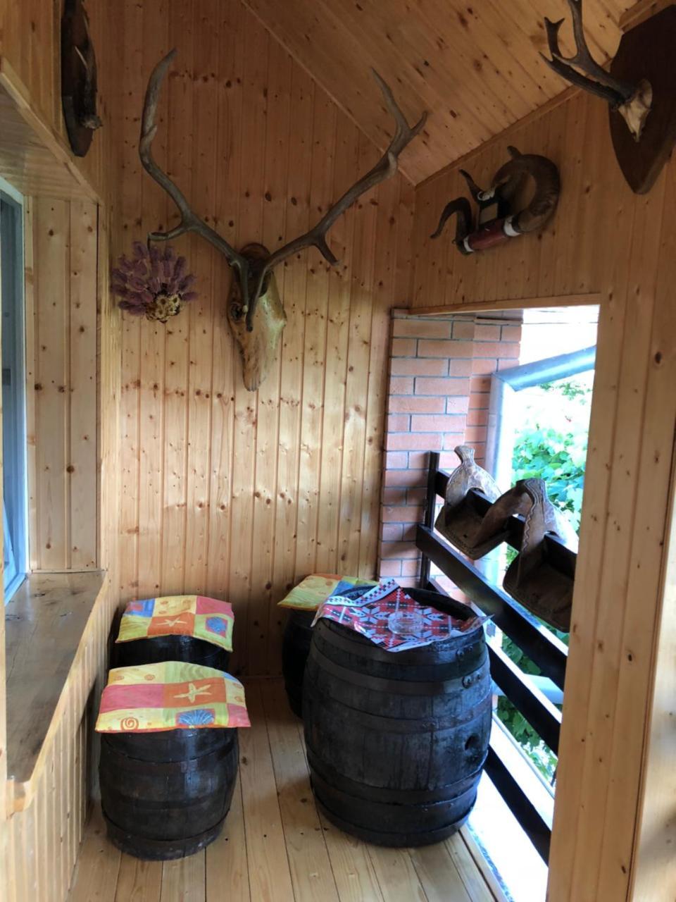 Casa Cezara Διαμέρισμα Silvasu de Jos Εξωτερικό φωτογραφία