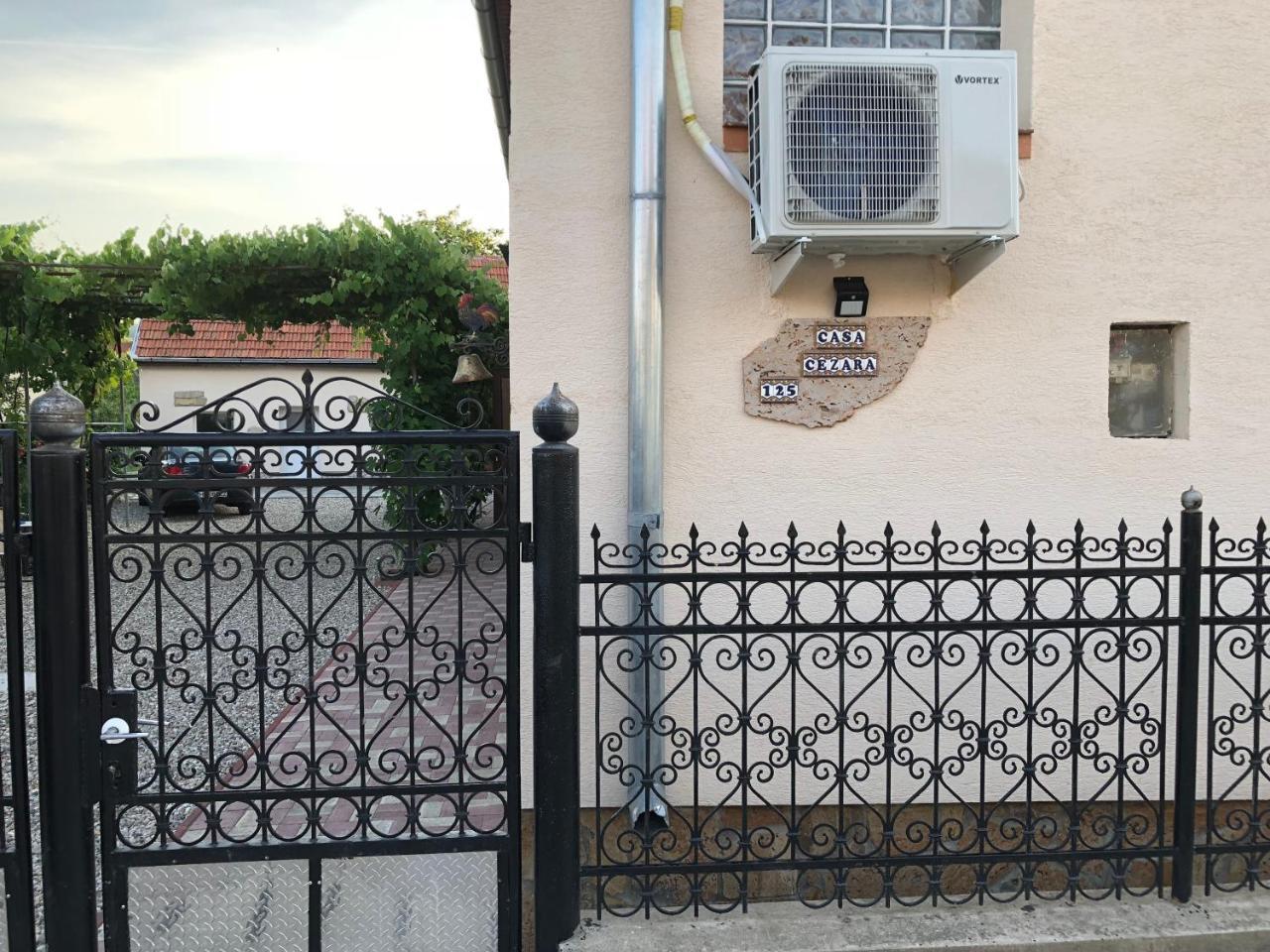 Casa Cezara Διαμέρισμα Silvasu de Jos Εξωτερικό φωτογραφία