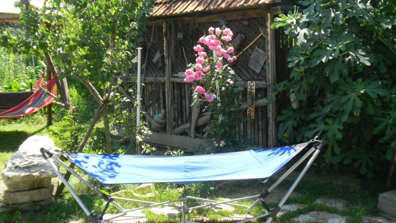 Casa Cezara Διαμέρισμα Silvasu de Jos Εξωτερικό φωτογραφία